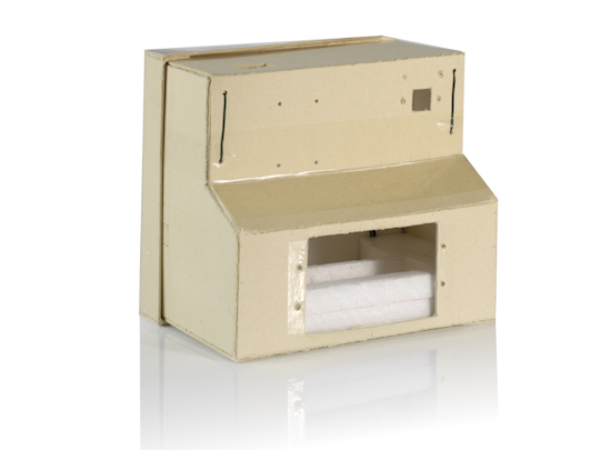 Poetry Cam Prototyp V1 Karton